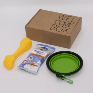 Welcome Box Kraft Dog