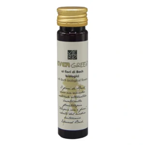 Shampoo biologico Ecogreen 40 ml