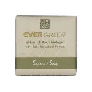 Saponetta biologica Ecogreen 20 g