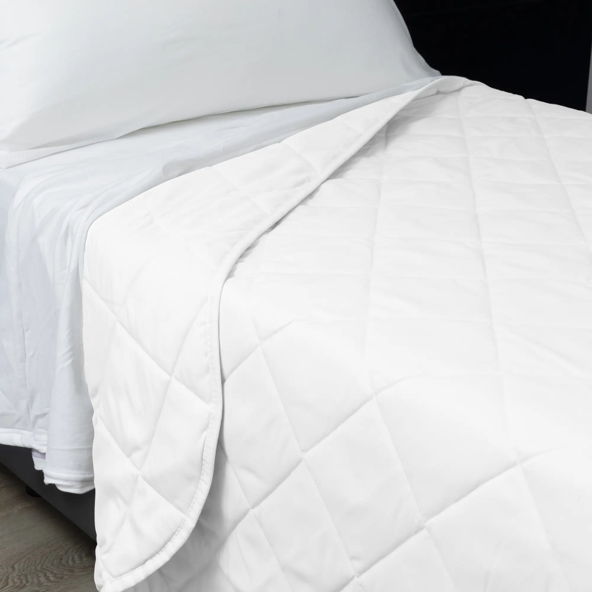 CamogliPiumino_provv_04